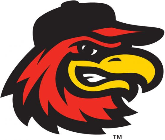 Rochester Red Wings 2014-Pres Alternate Logo v3 iron on transfers for T-shirts